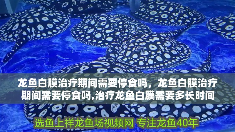 龍魚白膜治療期間需要停食嗎，龍魚白膜治療期間需要停食嗎,治療龍魚白膜需要多長時間