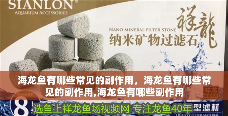 海龍魚有哪些常見的副作用,海龍魚有哪些常見的副作用,海龍魚有哪些副作用