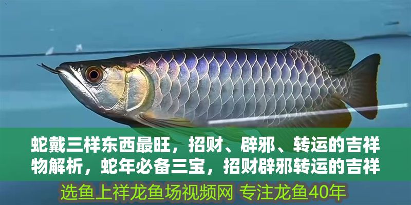 蛇戴三樣東西最旺，招財、辟邪、轉運的吉祥物解析，蛇年必備三寶，招財辟邪轉運的吉祥物全解析
