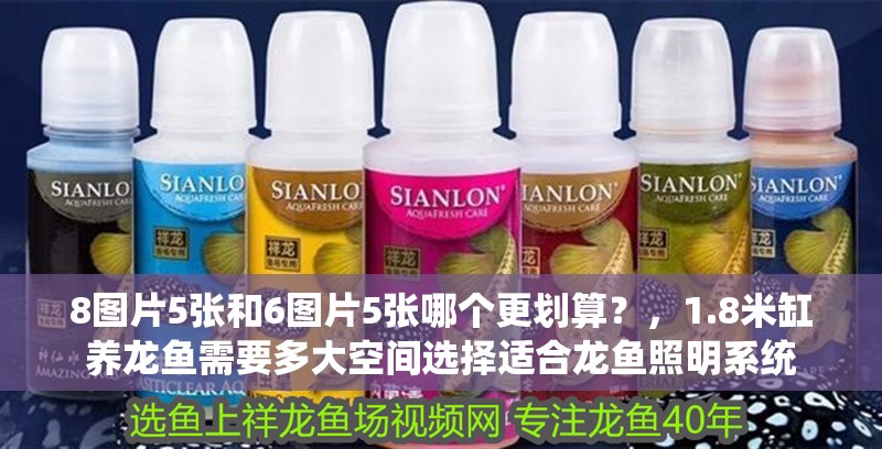 8圖片5張和6圖片5張哪個更劃算？，1.8米缸養龍魚需要多大空間選擇適合龍魚照明系統
