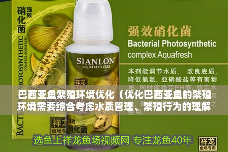 巴西亞魚繁殖環(huán)境優(yōu)化（優(yōu)化巴西亞魚的繁殖環(huán)境需要綜合考慮水質(zhì)管理、繁殖行為的理解）