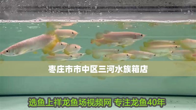 棗莊市市中區(qū)<strong><mark>三河</mark></strong>水族箱店