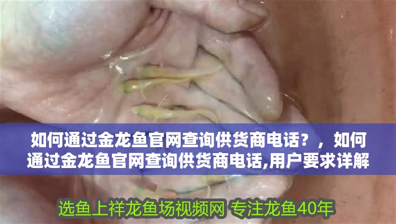 如何通過金龍魚官網查詢供貨商電話？，如何通過金龍魚官網查詢供貨商電話,用戶要求詳解