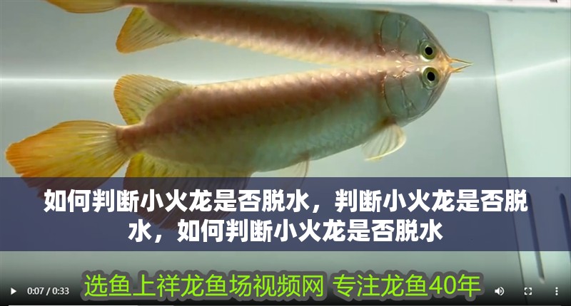 如何判斷小火龍是否脫水，判斷小火龍是否脫水，如何判斷小火龍是否脫水