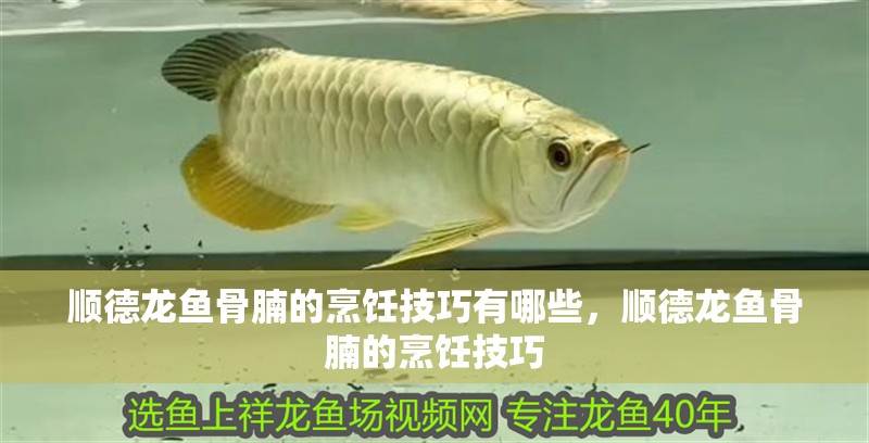 順德龍魚骨腩的烹飪技巧有哪些，順德龍魚骨腩的烹飪技巧