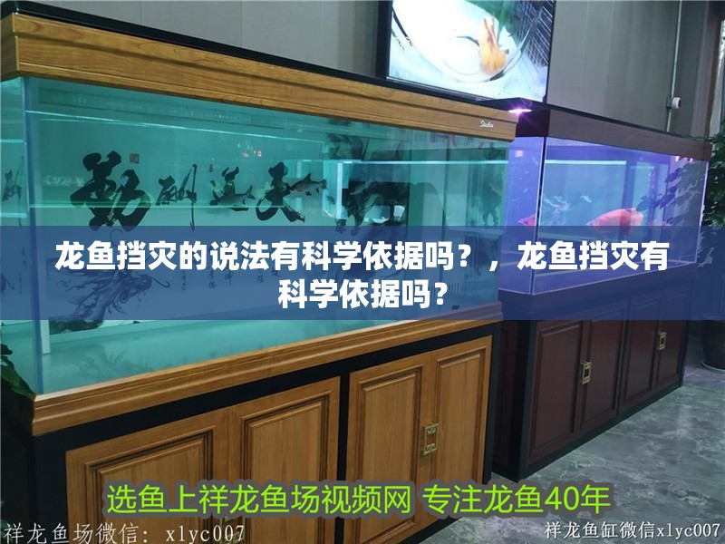 龍魚擋災(zāi)的說法有科學(xué)依據(jù)嗎？，龍魚擋災(zāi)有科學(xué)依據(jù)嗎？