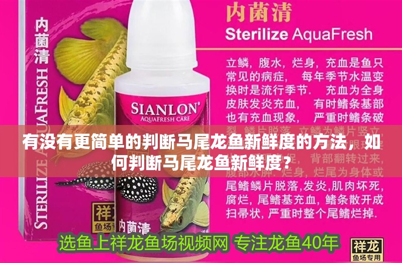 有沒有更簡單的判斷馬尾龍魚新鮮度的方法,如何判斷馬尾龍魚新鮮度?