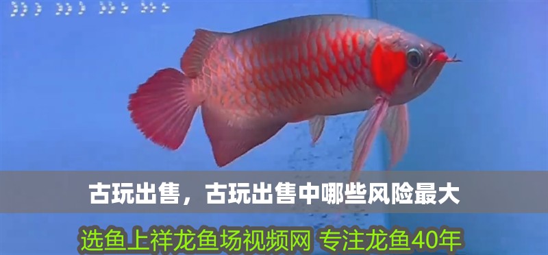 古玩出售，古玩出售中哪些風險最大