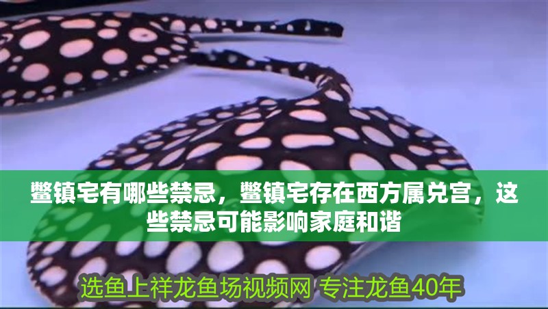 鱉鎮宅有哪些禁忌，鱉鎮宅存在西方屬兌宮，這些禁忌可能影響家庭和諧