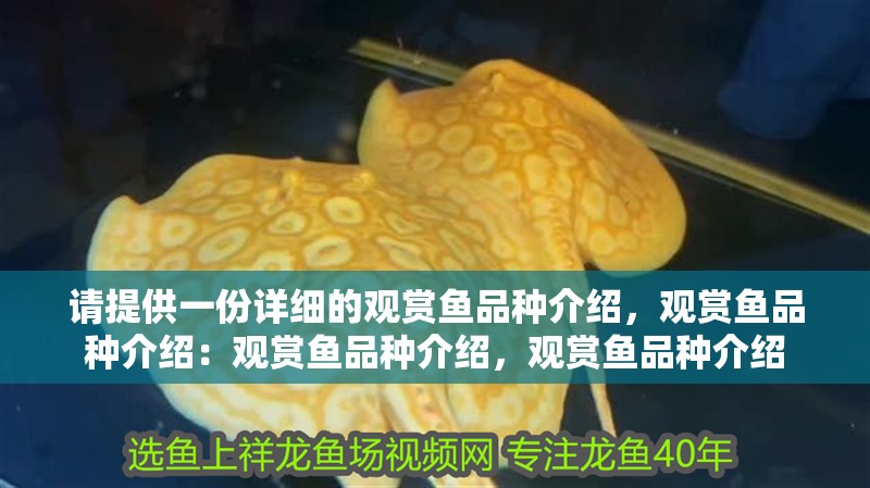 請?zhí)峁┮环菰敿?xì)的觀賞魚品種介紹，觀賞魚品種介紹：觀賞魚品種介紹，觀賞魚品種介紹