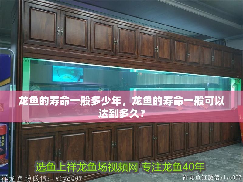 龍魚(yú)的壽命一般多少年，龍魚(yú)的壽命一般可以達(dá)到多久？