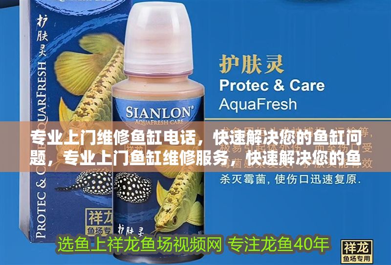 專業上門維修魚缸電話,快速解決您的魚缸問題,專業上門魚缸維修服務,快速解決您的魚缸問題 龍魚百科 第1張 專業上門維修魚缸電話,快速解決您的魚缸問題,專業上門魚缸維修服務,快速解決您的魚缸問題 專業上門維修魚缸電話,快速解決您的魚缸問題,專業上門魚缸維修服務,快速解決您的魚缸問題 龍魚百科 第1張