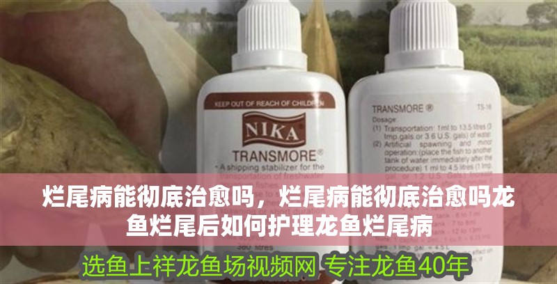 爛尾病能徹底治愈嗎，爛尾病能徹底治愈嗎龍魚爛尾后如何護理龍魚爛尾病