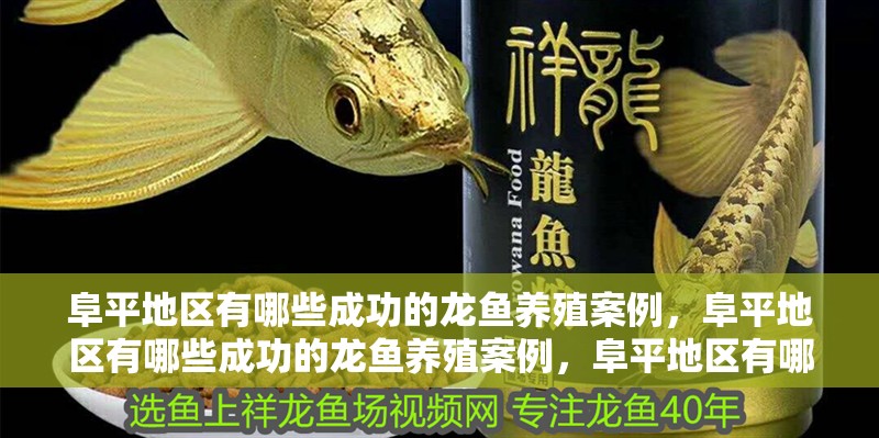 阜平地區有哪些成功的龍魚養殖案例，阜平地區有哪些成功的龍魚養殖案例，阜平地區有哪些成功的成功案例