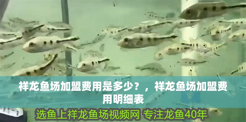 祥龍魚場加盟費用是多少？，祥龍魚場加盟費用明細表