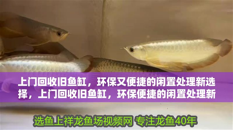 上門回收舊魚缸，環保又便捷的閑置處理新選擇，上門回收舊魚缸，環保便捷的閑置處理新方式