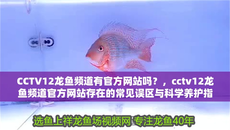 CCTV12龍魚頻道有官方網站嗎？，cctv12龍魚頻道官方網站存在的常見誤區與科學養護指南