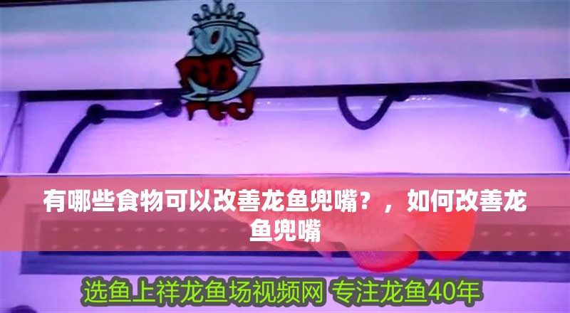 有哪些食物可以改善龍魚兜嘴？，如何改善龍魚兜嘴