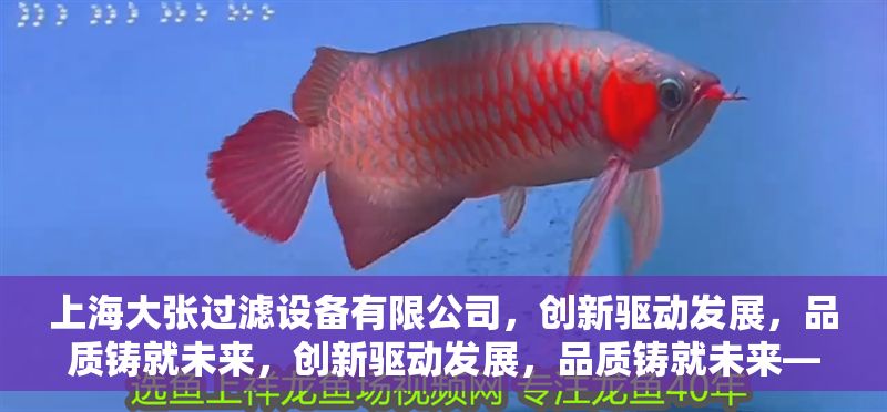 上海大張過(guò)濾設(shè)備有限公司，創(chuàng)新驅(qū)動(dòng)發(fā)展，品質(zhì)鑄就未來(lái)，創(chuàng)新驅(qū)動(dòng)發(fā)展，品質(zhì)鑄就未來(lái)——上海大張過(guò)濾設(shè)備有限公司