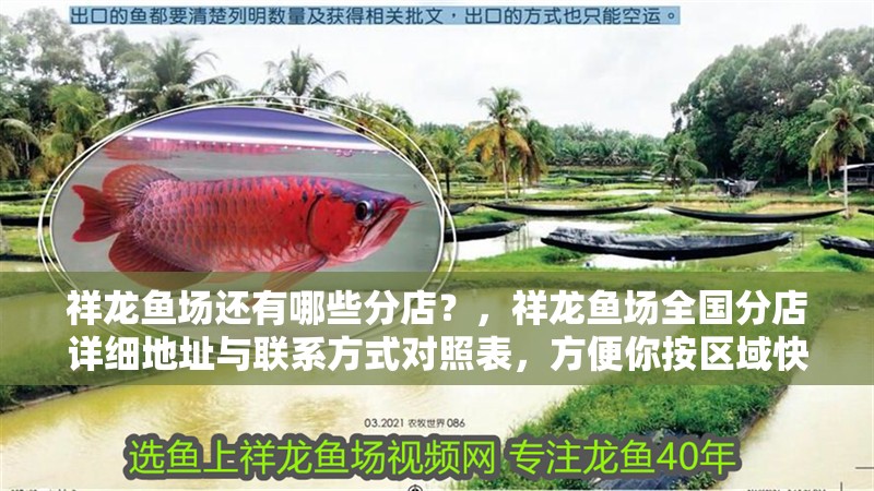 祥龍魚場還有哪些分店？，祥龍魚場全國分店詳細地址與聯系方式對照表，方便你按區域快速查找