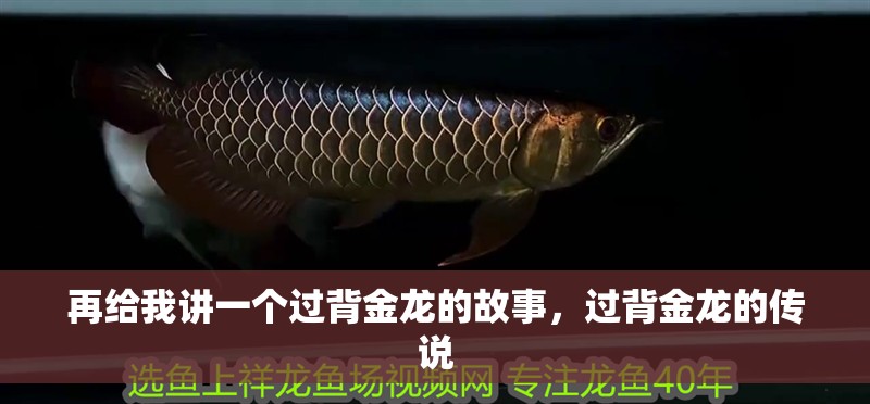 再給我講一個過背金龍的故事，過背金龍的傳說