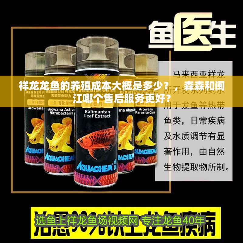 祥龍龍魚的養殖成本大概是多少？，森森和閩江哪個售后服務更好？