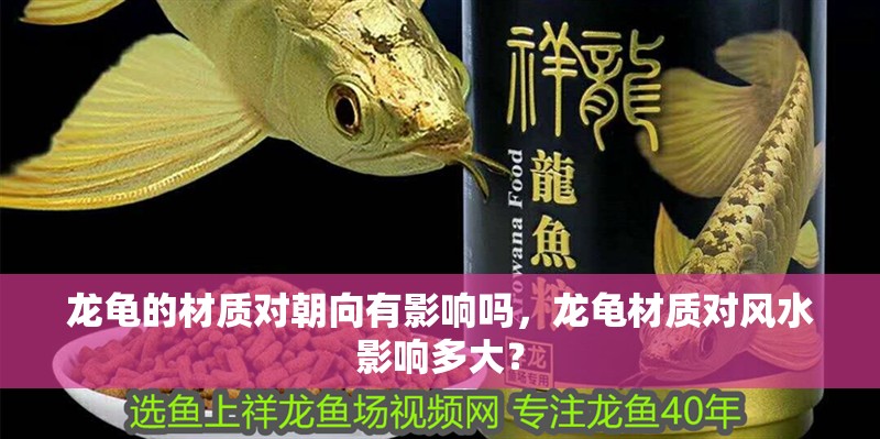 龍龜?shù)牟馁|(zhì)對朝向有影響嗎，龍龜材質(zhì)對風水影響多大？