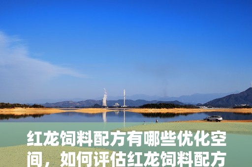 紅龍飼料配方有哪些優化空間，如何評估紅龍飼料配方優化