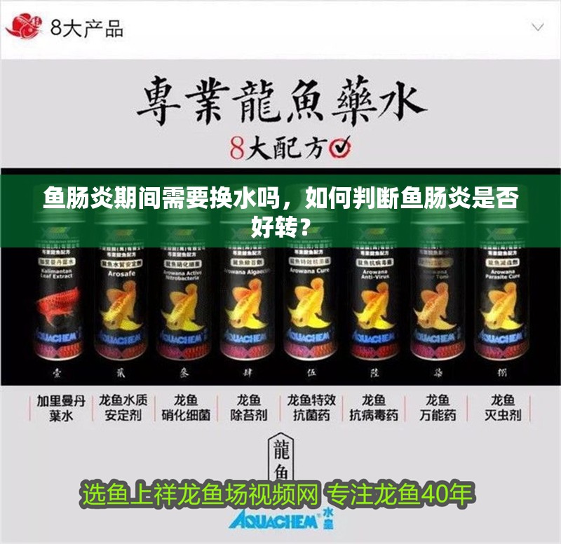 魚腸炎期間需要換水嗎，如何判斷魚腸炎是否好轉？
