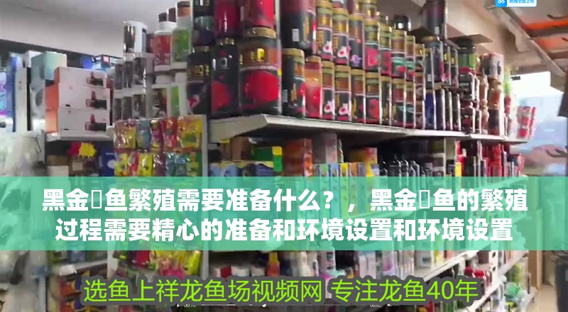 黑金魟魚繁殖需要準備什么？，黑金魟魚的繁殖過程需要精心的準備和環境設置和環境設置