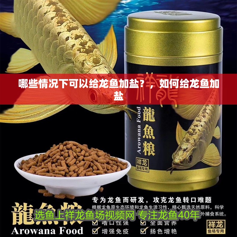 哪些情況下可以給龍魚加鹽？，如何給龍魚加鹽