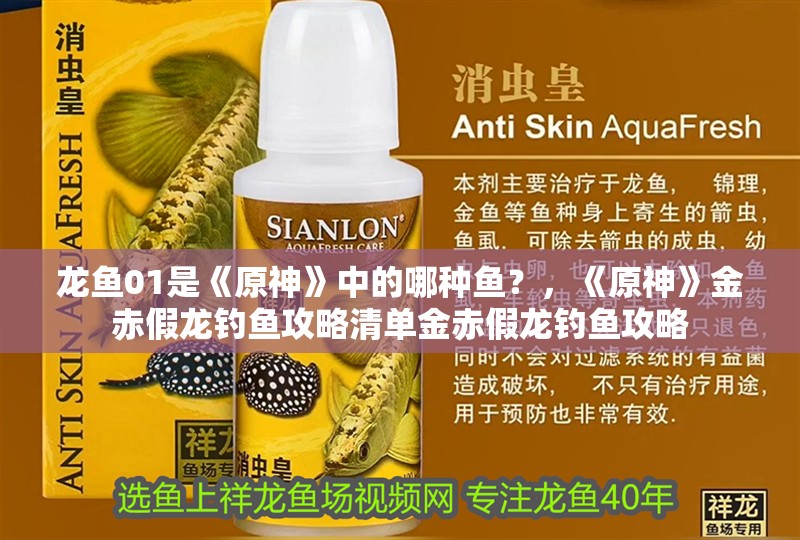 龍魚01是《原神》中的哪種魚？，《原神》金赤假龍釣魚攻略清單金赤假龍釣魚攻略