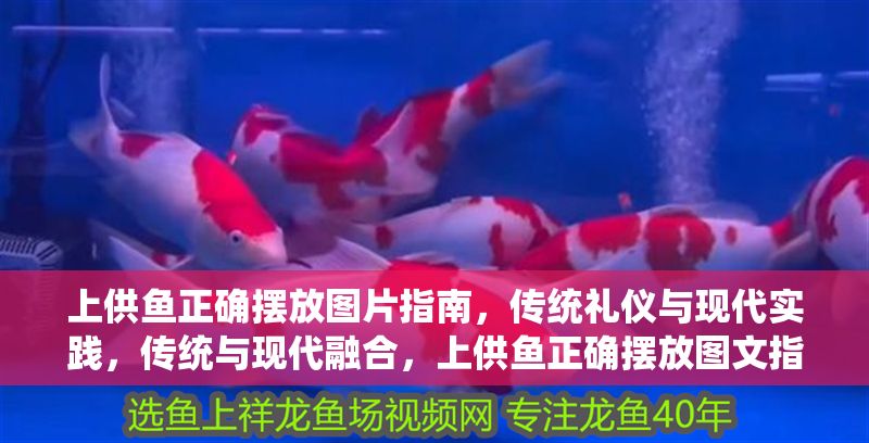 上供魚正確擺放圖片指南，傳統(tǒng)禮儀與現(xiàn)代實(shí)踐，傳統(tǒng)與現(xiàn)代融合，上供魚正確擺放圖文指南