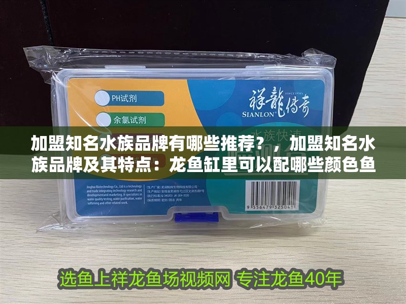 加盟知名水族品牌有哪些推薦？，加盟知名水族品牌及其特點：龍魚缸里可以配哪些顏色魚
