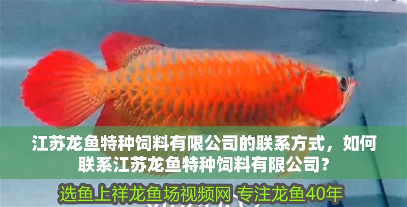 江蘇龍魚特種飼料有限公司的聯系方式，如何聯系江蘇龍魚特種飼料有限公司？
