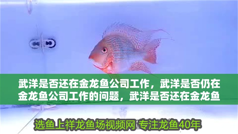 武洋是否還在金龍魚公司工作,武洋是否仍在金龍魚公司工作的問題,武洋是否還在金龍魚公司工作