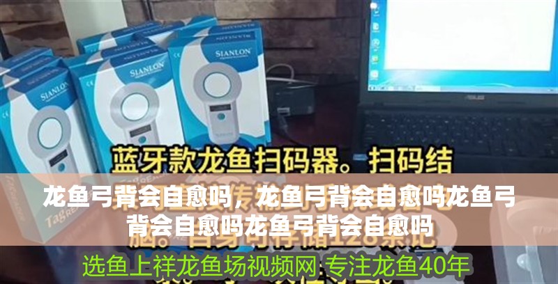 龍魚弓背會自愈嗎，龍魚弓背會自愈嗎龍魚弓背會自愈嗎龍魚弓背會自愈嗎