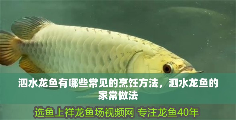 泗水龍魚有哪些常見的烹飪方法，泗水龍魚的家常做法