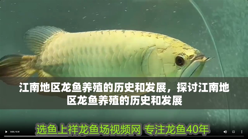 江南地區龍魚養殖的歷史和發展，探討江南地區龍魚養殖的歷史和發展