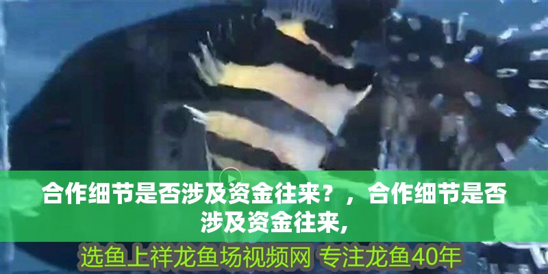 合作細節是否涉及資金往來？，合作細節是否涉及資金往來,