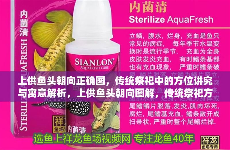 上供魚頭朝向正確圖，傳統祭祀中的方位講究與寓意解析，上供魚頭朝向圖解，傳統祭祀方位寓意與正確擺放指南