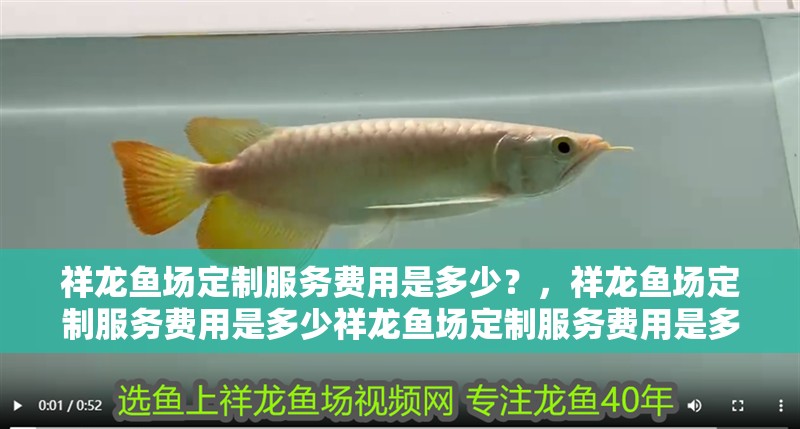 祥龍魚場定制服務費用是多少？，祥龍魚場定制服務費用是多少祥龍魚場定制服務費用是多少