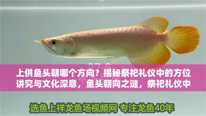 上供魚頭朝哪個方向？揭秘祭祀禮儀中的方位講究與文化深意，魚頭朝向之謎，祭祀禮儀中的方位講究與文化解讀