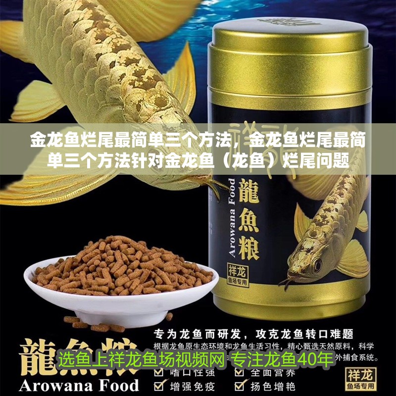 金龍魚爛尾最簡單三個方法，金龍魚爛尾最簡單三個方法針對金龍魚（龍魚）爛尾問題