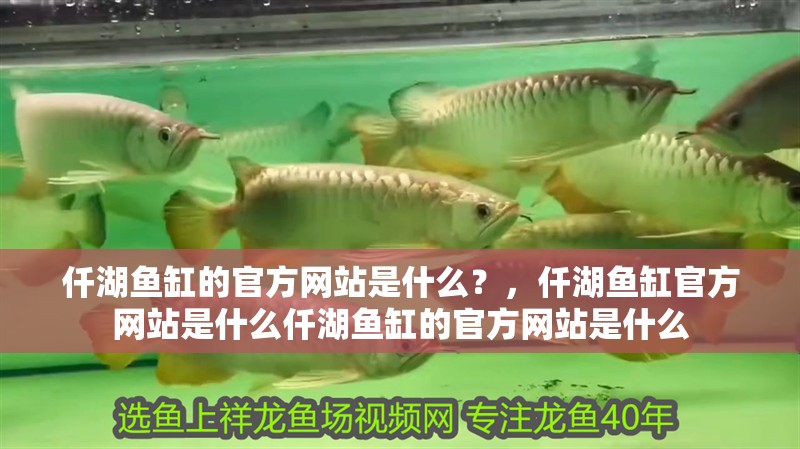 仟湖魚缸的官方網站是什么？，仟湖魚缸官方網站是什么仟湖魚缸的官方網站是什么