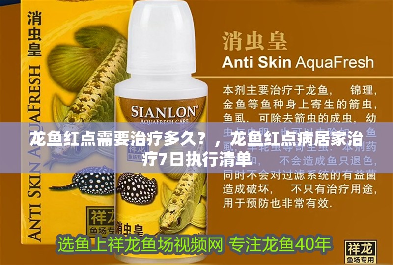 龍魚紅點需要治療多久？，龍魚紅點病居家治療7日執行清單