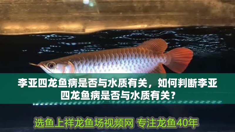 李亞四龍魚病是否與水質有關，如何判斷李亞四龍魚病是否與水質有關？