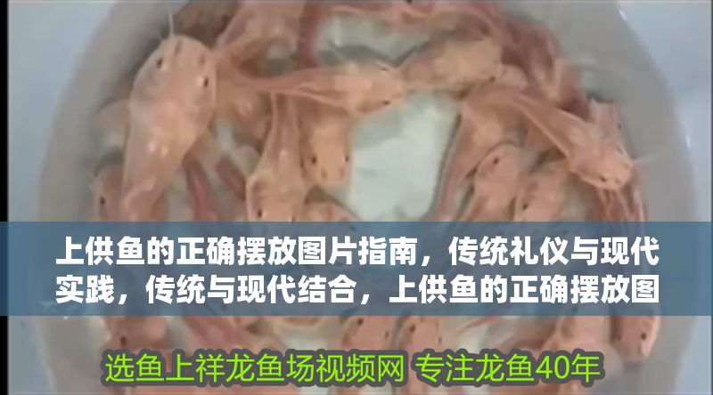 上供魚的正確擺放圖片指南，傳統禮儀與現代實踐，傳統與現代結合，上供魚的正確擺放圖解指南