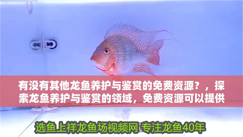 有沒(méi)有其他龍魚養(yǎng)護(hù)與鑒賞的免費(fèi)資源？，探索龍魚養(yǎng)護(hù)與鑒賞的領(lǐng)域，免費(fèi)資源可以提供幫助