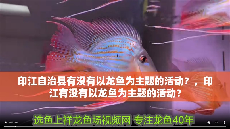印江自治縣有沒有以龍魚為主題的活動？，印江有沒有以龍魚為主題的活動？